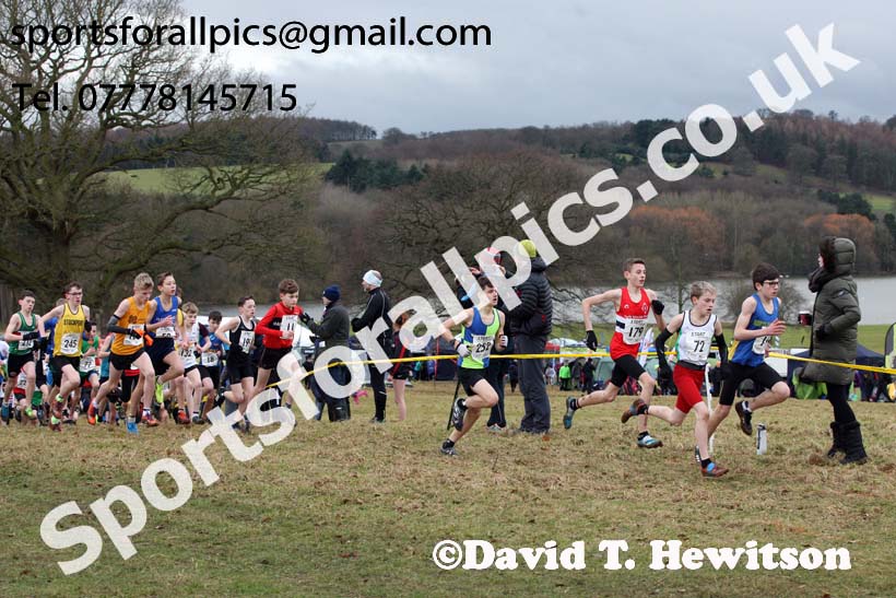 Boys under-13s, 2018 Northern Cross Country Champs., Harewood House, Leeds. Photo: David T. Hewitson/Sports for All Pics